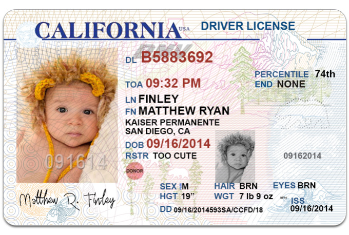 california drivers license template free
